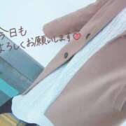 ヒメ日記 2025/11/22 14:07 投稿 めい One More奥様　厚木店