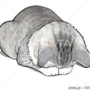 ヒメ日記 2025/12/25 12:07 投稿 めい One More奥様　厚木店