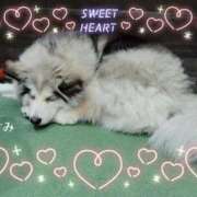 ヒメ日記 2025/09/02 07:28 投稿 かすみ 東京妻