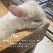 ヒメ日記 2025/02/20 17:19 投稿 るう スピードエコ日本橋店