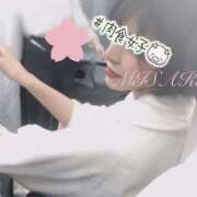 ヒメ日記 2025/03/18 19:53 投稿 愛河みさき Claris Tokyo～クラリス東京～