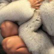 ヒメ日記 2025/04/07 15:04 投稿 愛河みさき Claris Tokyo～クラリス東京～