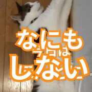 ヒメ日記 2025/04/17 22:23 投稿 愛河みさき Claris Tokyo～クラリス東京～