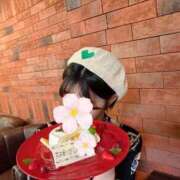 ヒメ日記 2025/04/20 23:13 投稿 愛河みさき Claris Tokyo～クラリス東京～