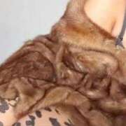 ヒメ日記 2025/07/31 22:06 投稿 愛河みさき Claris Tokyo～クラリス東京～