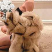 ヒメ日記 2025/11/12 22:46 投稿 愛河みさき Claris Tokyo～クラリス東京～