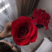 ヒメ日記 2025/11/16 14:56 投稿 愛河みさき Claris Tokyo～クラリス東京～