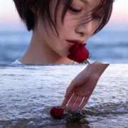 ヒメ日記 2025/12/03 11:56 投稿 愛河みさき Claris Tokyo～クラリス東京～