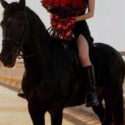 ヒメ日記 2025/12/29 23:56 投稿 愛河みさき Claris Tokyo～クラリス東京～