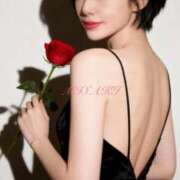 ヒメ日記 2026/02/28 15:21 投稿 愛河みさき Claris Tokyo～クラリス東京～