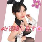 ヒメ日記 2026/03/20 13:56 投稿 愛河みさき Claris Tokyo～クラリス東京～