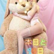 ヒメ日記 2026/04/08 11:16 投稿 愛河みさき Claris Tokyo～クラリス東京～