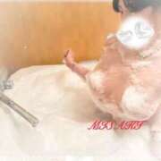 ヒメ日記 2026/04/13 22:30 投稿 愛河みさき Claris Tokyo～クラリス東京～