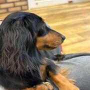 ヒメ日記 2025/05/07 10:03 投稿 ゆゆ アラモード