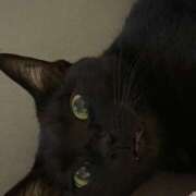 ヒメ日記 2025/05/27 08:50 投稿 ゆゆ アラモード