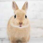 ヒメ日記 2025/06/02 17:32 投稿 ゆゆ アラモード