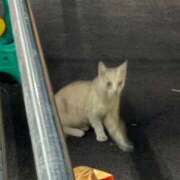 ヒメ日記 2025/08/06 10:11 投稿 ゆゆ アラモード