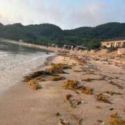 ヒメ日記 2025/08/18 15:24 投稿 ゆゆ アラモード