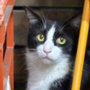 ゆゆ 出勤‼️ アラモード