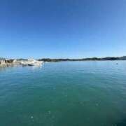 ヒメ日記 2025/12/14 13:26 投稿 ゆゆ アラモード