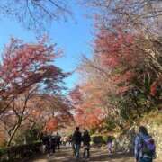 ゆゆ 出勤！ アラモード