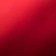 ヒメ日記 2026/02/24 11:18 投稿 ゆゆ アラモード