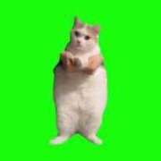 ヒメ日記 2025/02/27 15:05 投稿 ネネ【新人】【宮崎っ子】 Alice