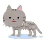 ヒメ日記 2025/11/07 18:58 投稿 ネネ【新人】【宮崎っ子】 Alice