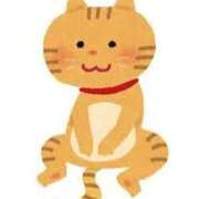 ヒメ日記 2025/12/03 13:42 投稿 ネネ【新人】【宮崎っ子】 Alice