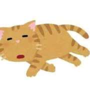 ヒメ日記 2025/12/10 17:02 投稿 ネネ【新人】【宮崎っ子】 Alice