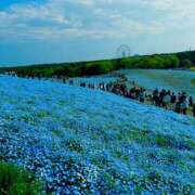 ヒメ日記 2025/05/07 16:16 投稿 ヨウコ マテリアル