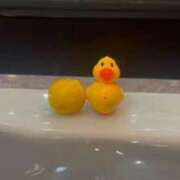 ヒメ日記 2025/12/02 16:51 投稿 のえ 風俗の神様　浜松店