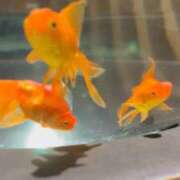 のえ 💖2026年💖 風俗の神様　浜松店