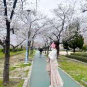 ヒメ日記 2025/04/02 13:27 投稿 みなみ すごいエステ京都店