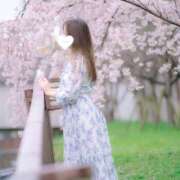 ヒメ日記 2025/04/03 07:13 投稿 みなみ すごいエステ京都店