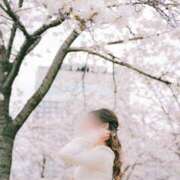 ヒメ日記 2025/04/07 14:25 投稿 みなみ すごいエステ京都店