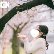 ヒメ日記 2025/04/25 11:50 投稿 みなみ すごいエステ京都店