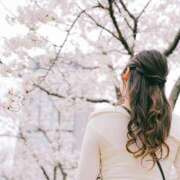 ヒメ日記 2025/04/28 13:00 投稿 みなみ すごいエステ京都店