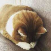 ヒメ日記 2025/05/18 20:25 投稿 みなみ すごいエステ京都店