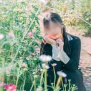 ヒメ日記 2025/12/02 13:03 投稿 みなみ すごいエステ京都店