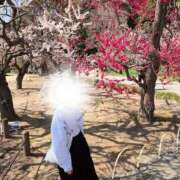 ヒメ日記 2025/03/23 18:21 投稿 ちか 宇都宮発～正統派清楚系デリヘル！ CHERIMO（シェリモ）