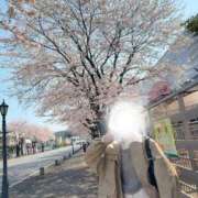 ちか 桜色の亀頭 宇都宮発～正統派清楚系デリヘル！ CHERIMO（シェリモ）