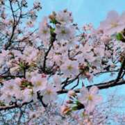 ヒメ日記 2025/03/30 12:23 投稿 いく 横浜痴女性感フェチ倶楽部