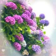 ヒメ日記 2025/06/13 18:29 投稿 いく 横浜痴女性感フェチ倶楽部