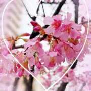 いく これは・・？ 横浜痴女性感フェチ倶楽部