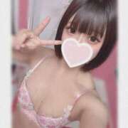 ヒメ日記 2025/05/21 17:44 投稿 りのん チューリップ福井本館