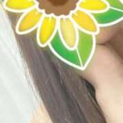 ヒメ日記 2025/08/10 23:31 投稿 桃井　ゆな NADIA神戸店