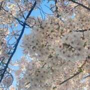 ヒメ日記 2026/04/06 11:31 投稿 しおり 舐めフェチの会