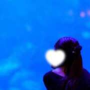 ヒメ日記 2026/04/10 14:33 投稿 しおり 舐めフェチの会