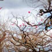 ヒメ日記 2025/02/10 14:01 投稿 知念もみじ 大阪ぽっちゃり妻 谷九店